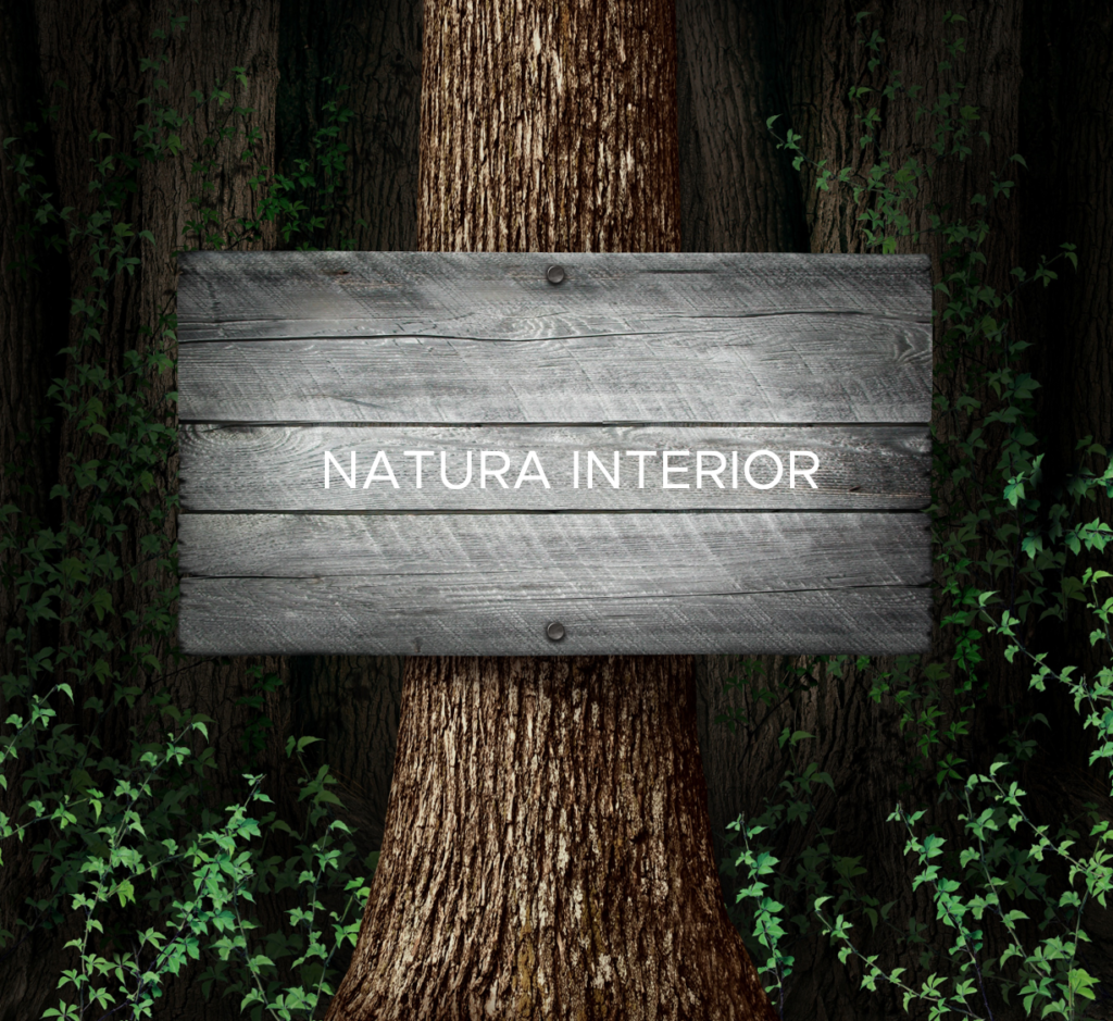 natura interior bany de bosc