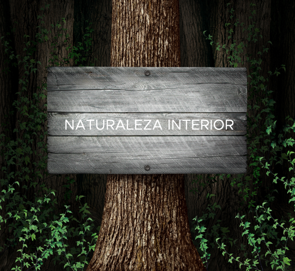 imagen arbol naturaleza interior