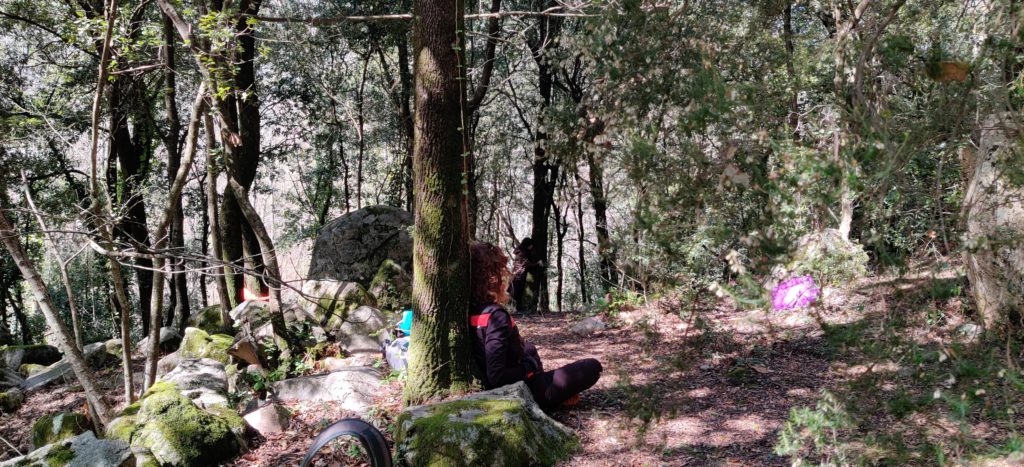 desconexión, naturaleza, silencio en el bosque y en la naturaleza. Barcelona