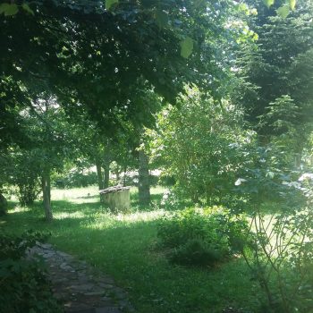 2020-ene-Jardín-casa-rural-jardin-mandala (1)