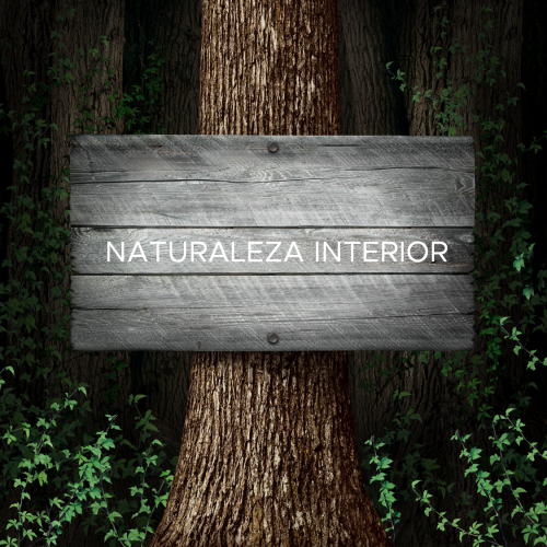 Naturaleza Interior Arbol con cartel Naturaleza interior