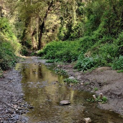 Naturaleza Naturaleza