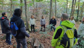 IMG_20211023_111505