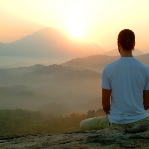 mindfulness contemplación y naturaleza