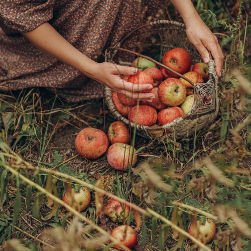 El ciclo de la Naturaleza Mujer recogiendo frutas de temporada