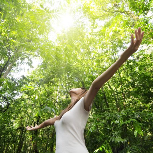 vivir la experiencia de baño de bosque con todos los sentidos