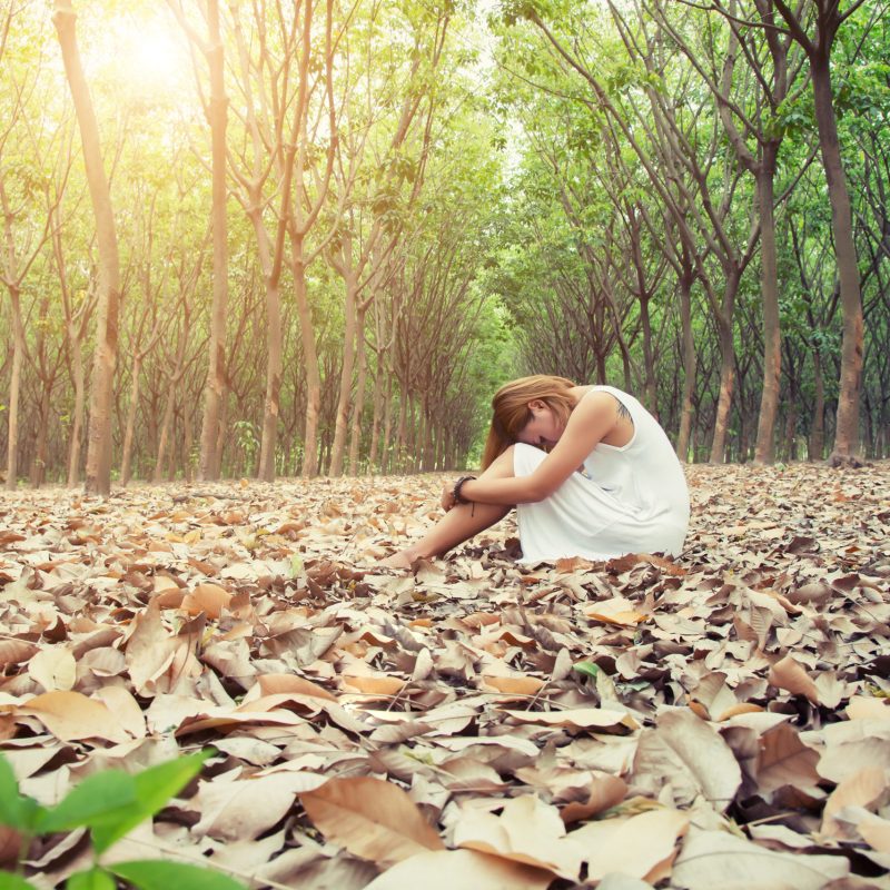 Foto blog mujer sentada en el bosque